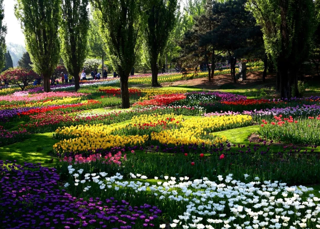 【出游正当时】5月6日松鼠户外香植溜腿