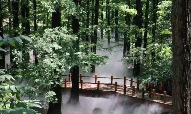 【出游正当时】5月6日松鼠户外香植溜腿