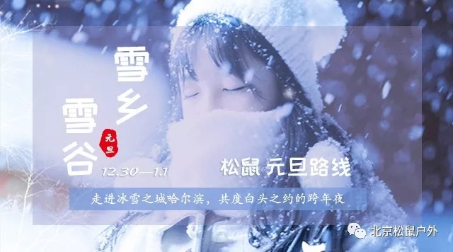 【元旦雪乡】丨冰雪童话世界，雪谷、雪乡、雾凇岛、哈尔滨冰灯，体验东北林海雪原，跨年火车团，不用请假