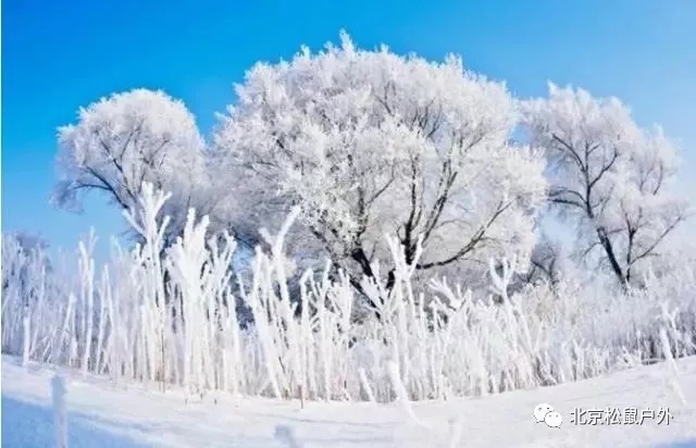 【元旦雪乡】丨冰雪童话世界，雪谷、雪乡、雾凇岛、哈尔滨冰灯，体验东北林海雪原，跨年火车团，不用请假