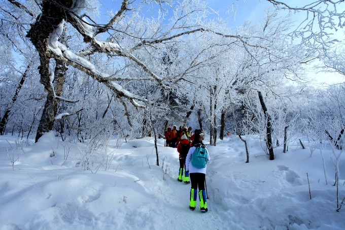 哈尔滨雪乡雪谷旅游记录