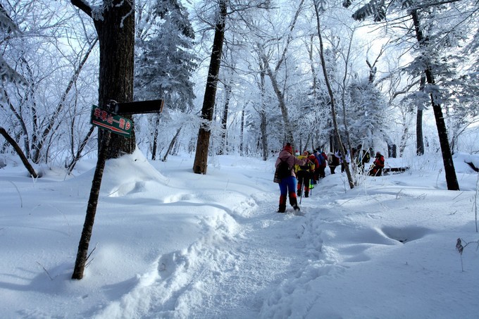 哈尔滨雪乡雪谷旅游记录