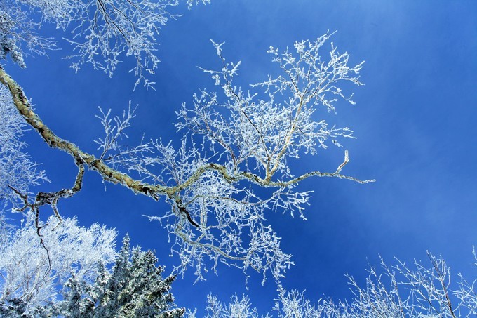 哈尔滨雪乡雪谷旅游记录