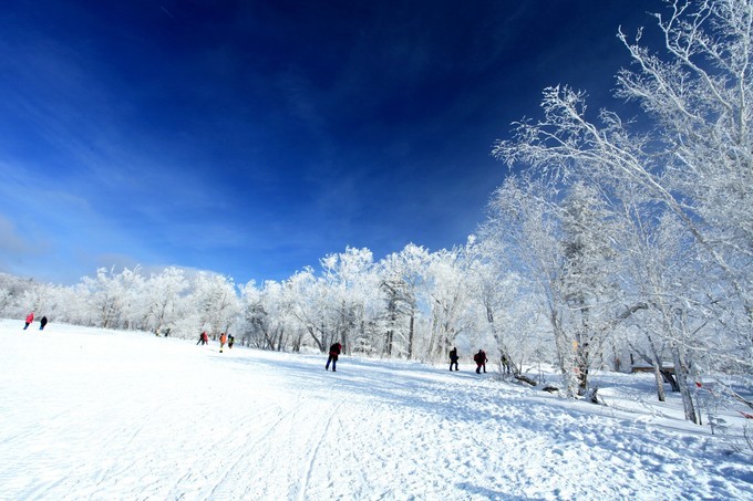 哈尔滨雪乡雪谷旅游记录