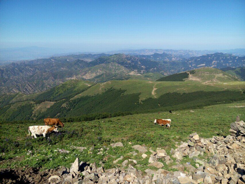 北京灵山介绍