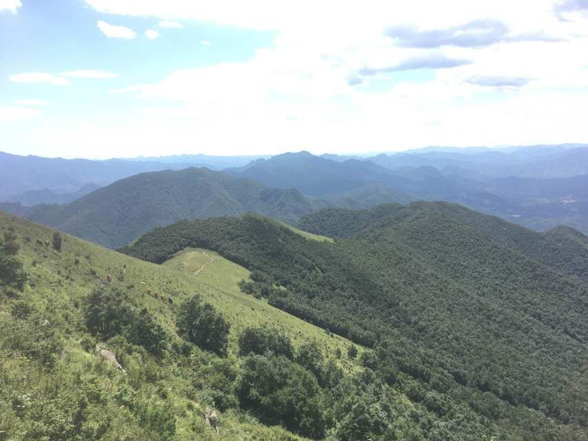 东灵山自然环境