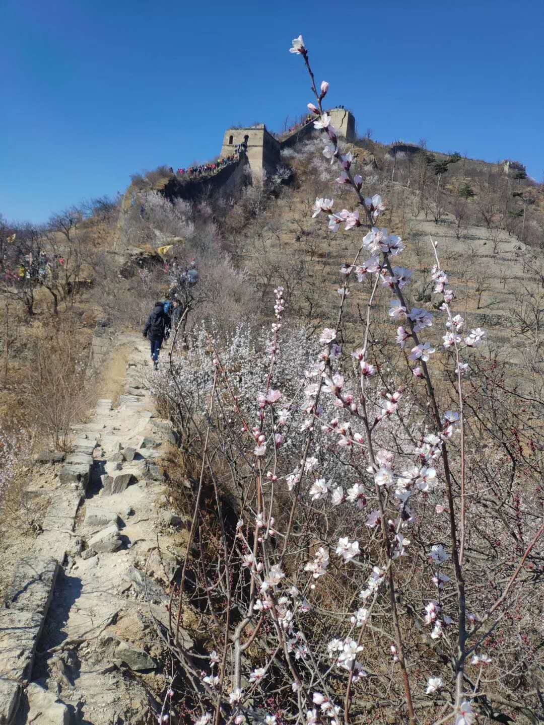 水长城徒步看那十里桃花