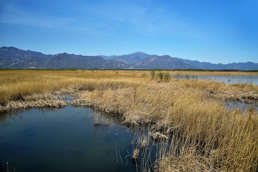 延庆野鸭湖一日游