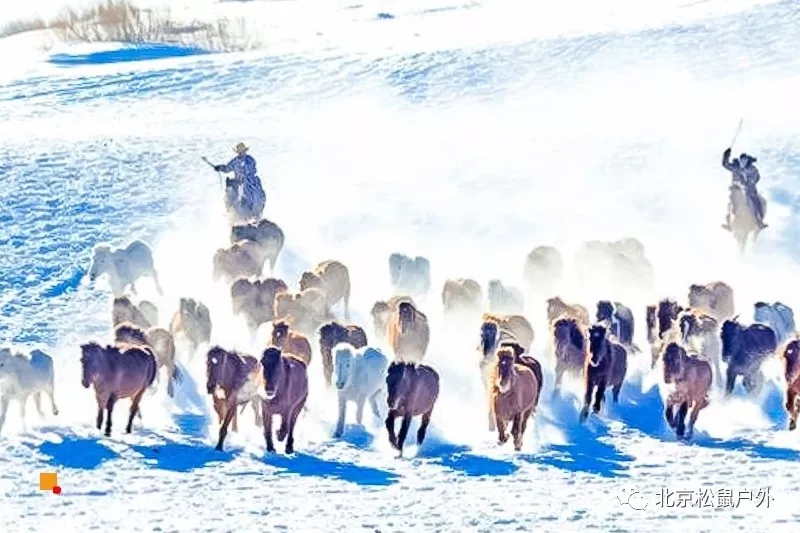 「冬季乌兰布统」12.21~22日 | 塞北雪乡-越野驰骋-马踏飞雪-冰雪童话-摄影深度游