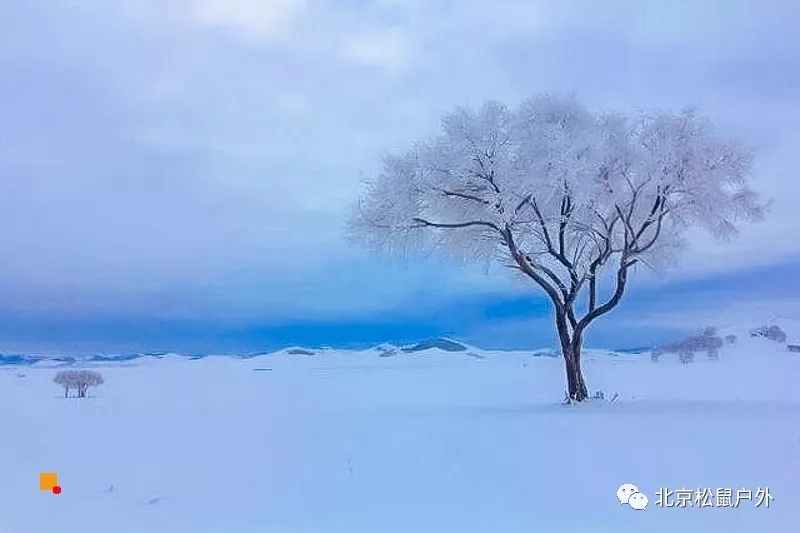 「冬季乌兰布统」12.21~22日 | 塞北雪乡-越野驰骋-马踏飞雪-冰雪童话-摄影深度游