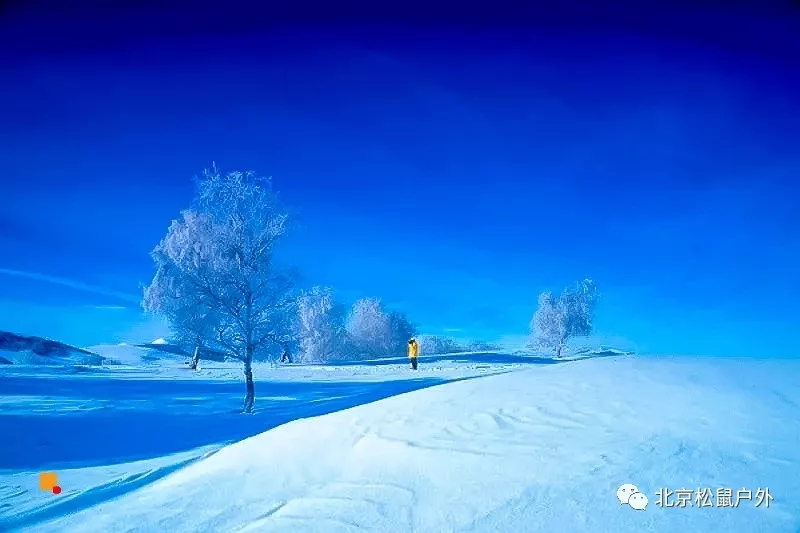 「冬季乌兰布统」12.21~22日 | 塞北雪乡-越野驰骋-马踏飞雪-冰雪童话-摄影深度游