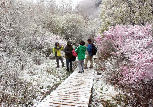 北京野蘑菇户外俱乐部好吗，蘑菇旅行怎么样