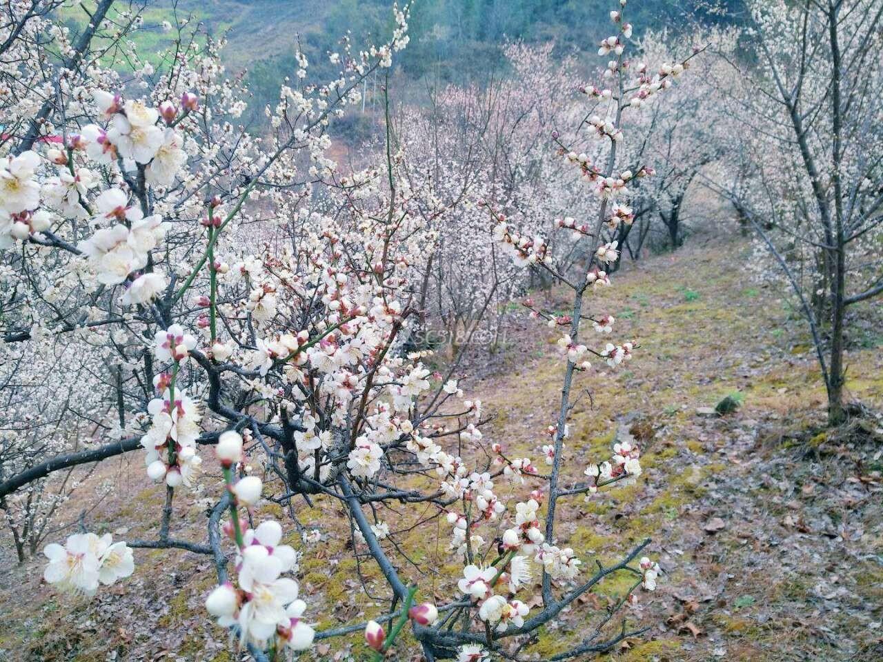 北京草履虫社区交友可靠吗