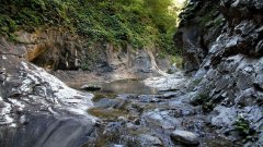 虎峪风景区门票价格